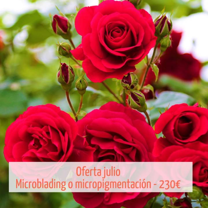 Microblading o micropigmentación - 230€