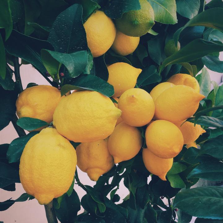 5 beneficios de tomar agua de limon